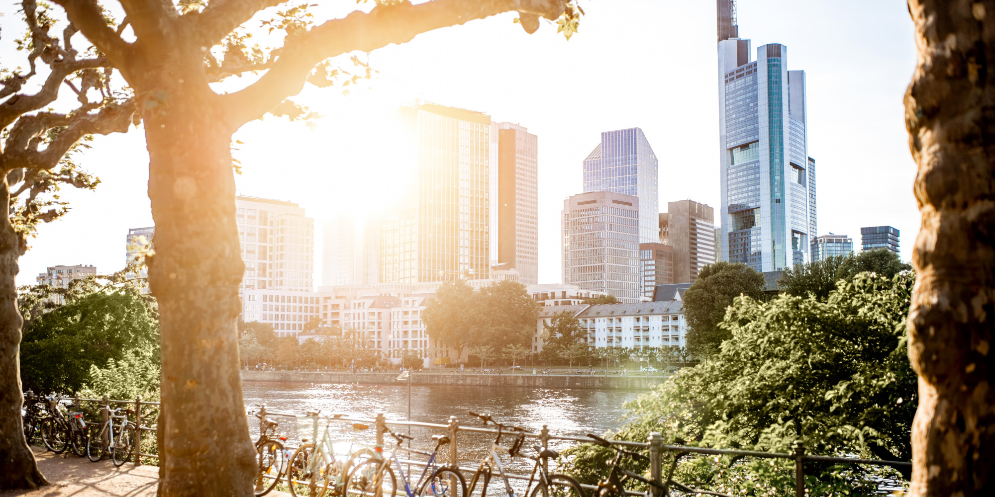 Main in Frankfurt mit Blick auf das Finanzviertel mit Fahrrädern an dem Geländer