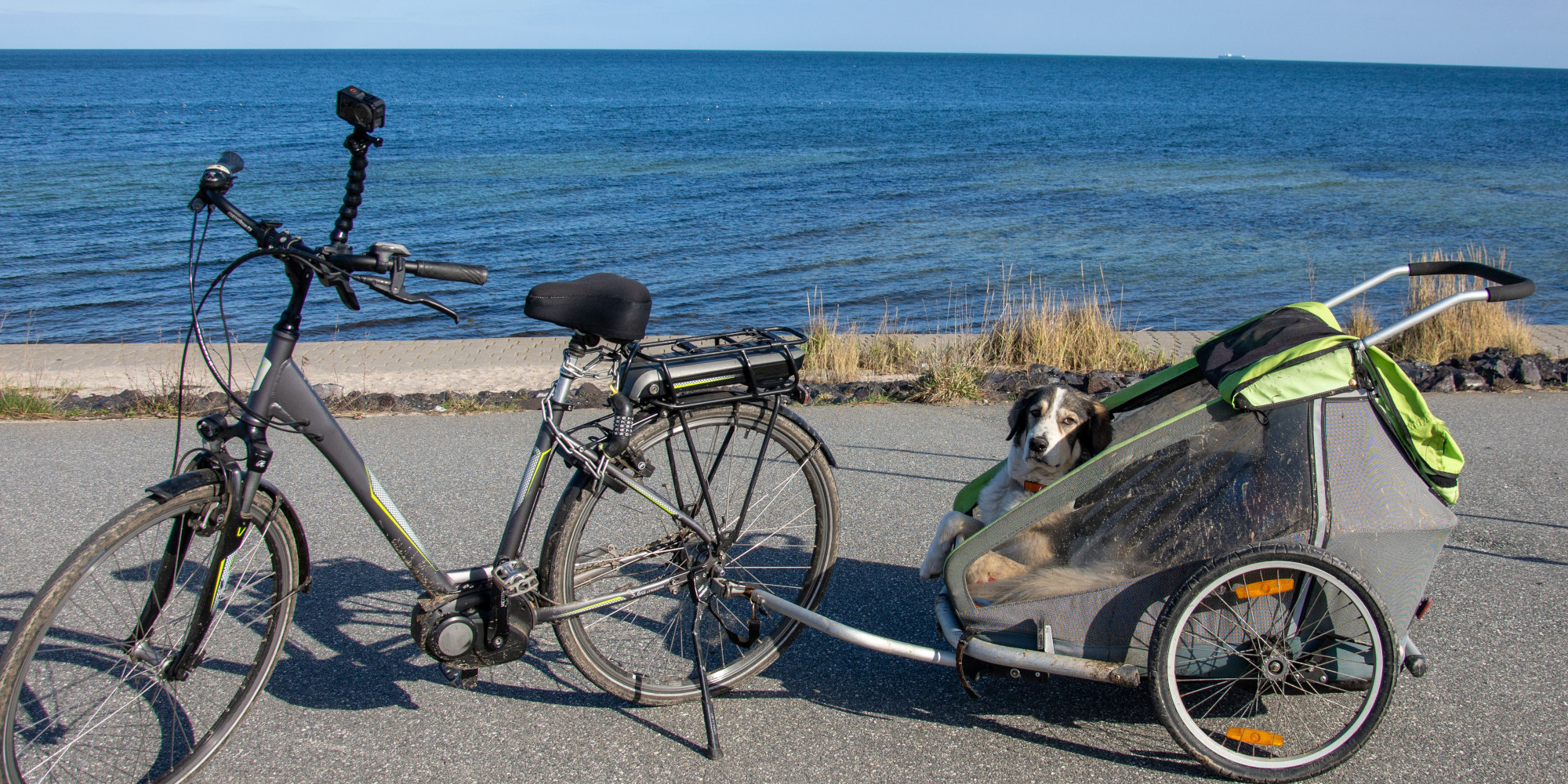 Ein Fahrrad neben einem Anhänger mit einem Hund am Ufer eines Gewässers.
