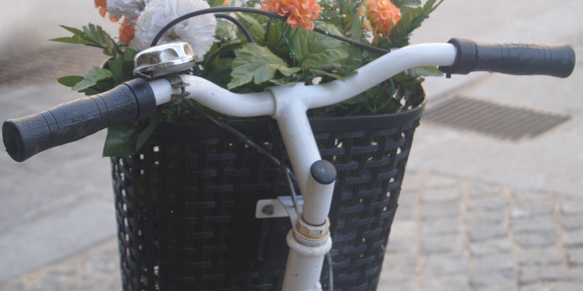 Fahrradlenker vor einem Pflanzkorb mit bunten Blumen.