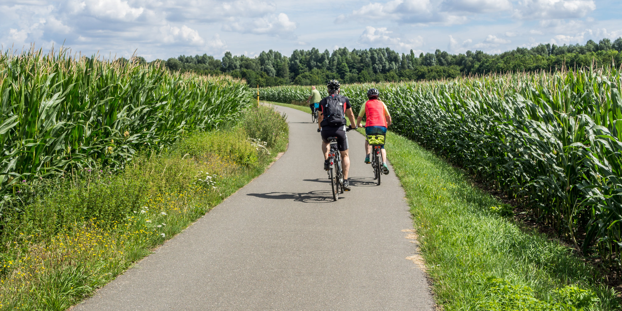 Muldental-Radweg in Sachsen 