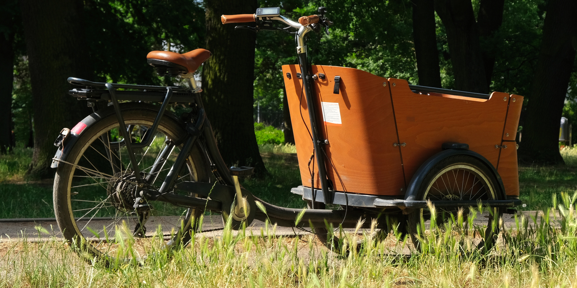 Ein Lastenrad mit einem orangefarbenen Anhänger in einer grünen Parkumgebung.