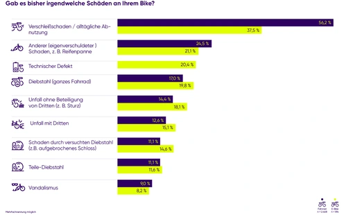 Grafik mit einer Umfrage zu Schwierigkeiten bei der digitalen Nutzung, Balkendiagramm.