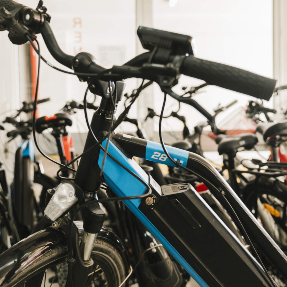 E-Bike Typen - wir stellen sie dir vor Viele E-Bikes nebeneinander gereiht
