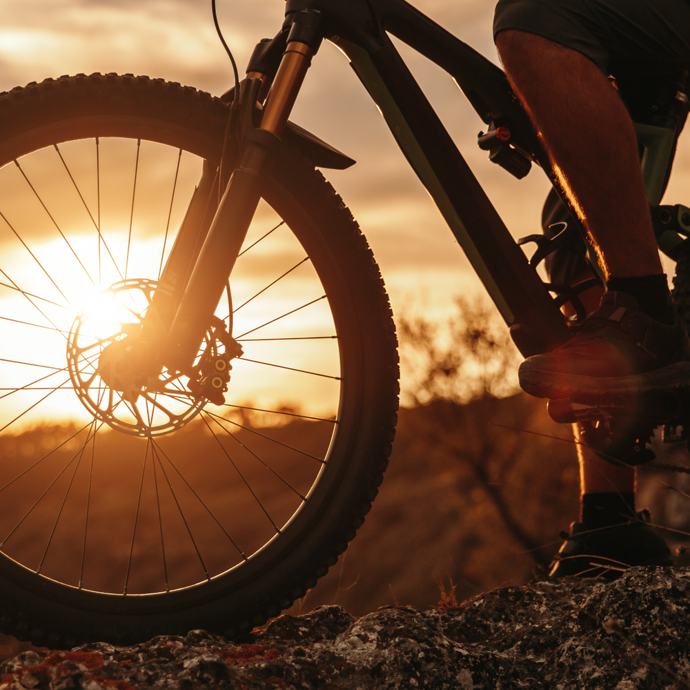 Entdecke die neuen Modelle von KTM Mann fährt mit einem Fahrrad über einen Felden im Sonnenuntergang
