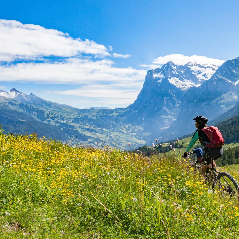 Abentuerliche Touren mit den Thok E-Mountainbikes Frau fährt mit einem E-Mountainbike durch die Schweizer Alpen
