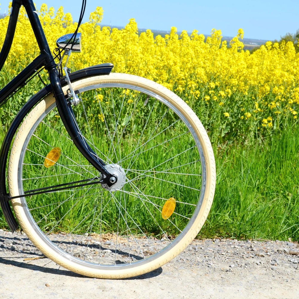 Ballonreifen - das müssen Sie wissen Fahrrad steht vor einem Blumenfeld