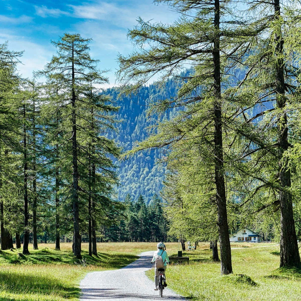 Radlerin fährt auf einem Radweg durch einen Wald