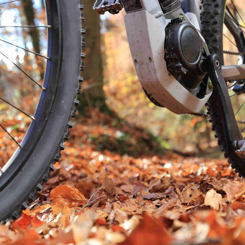 Bosch Modelljahr 2023: Mit diesen Neuheiten können Sie rechnen E-Mountainbike fährt auf nassem Waldboden