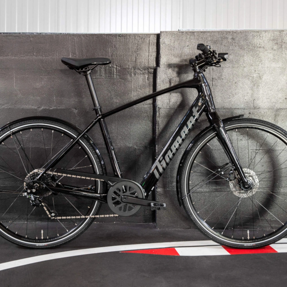 Diamant 365 - für ein natürliches Fahrgefühl Das Fahrrad Diamant 365 abeglichtet