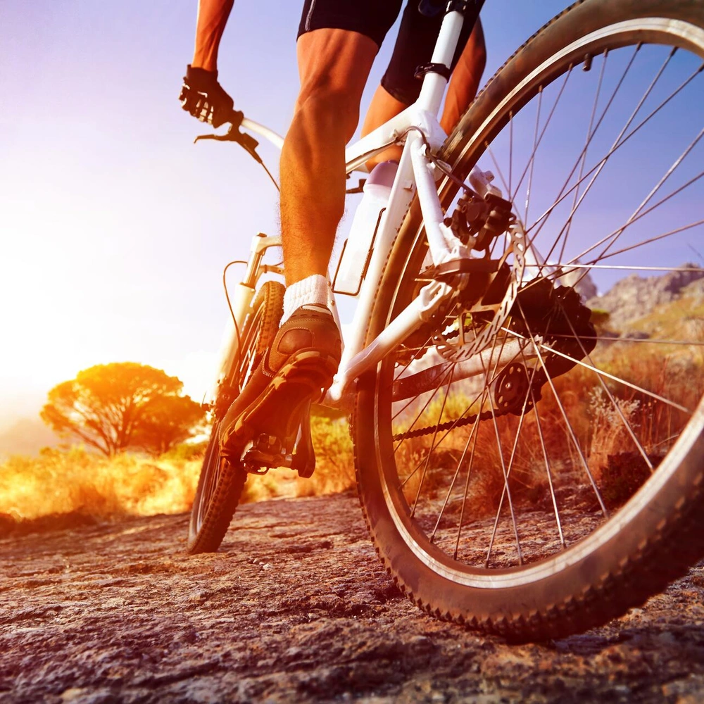 Radfahrer auf einem Downhill Bike fährt über einen felsigen Weg in der Abenddämmerung