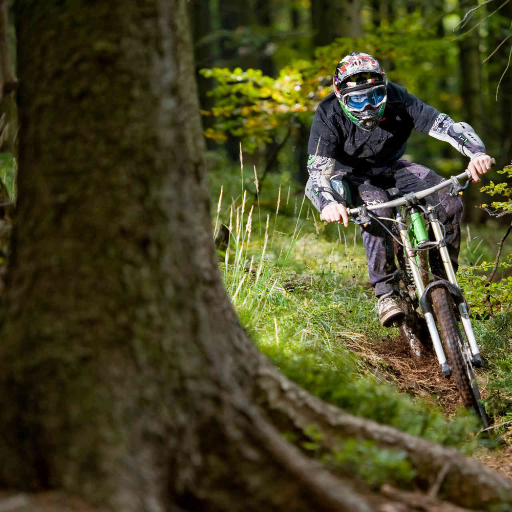 Downhill für Anfänger – so gelingt es! Mann mit Schutzausrüstung fährt bergab durch Wald auf Mountainbike.