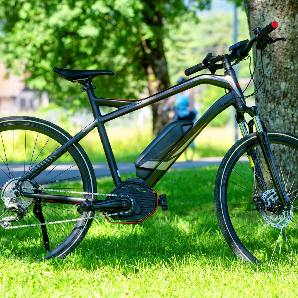 E-Bike verkaufen – was ist dabei zu beachten? Zu verkaufendes E-Bike steht auf Grünfläche vor Baum.