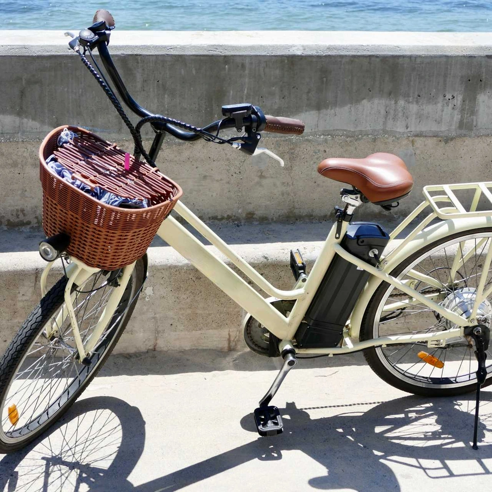 Retro-E-Bike Cruiser Retro-E-Bike Cruiser