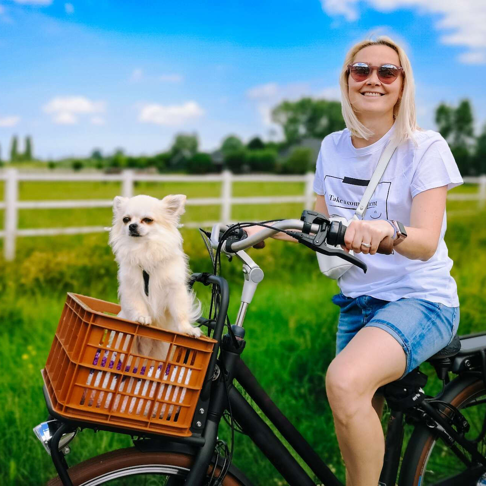 E-Hollandrad E-Hollandrad