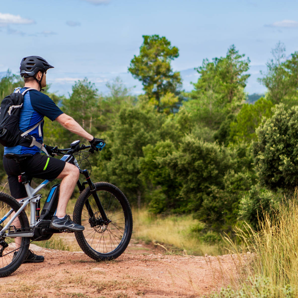 Darauf musst du bei einem günstigen E-Bike Fully achten. Mann auf E-Bike fährt durch Landschaft.