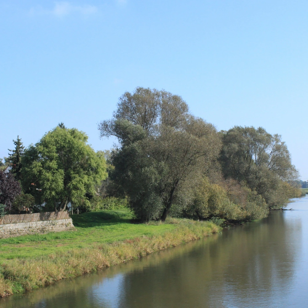 Ein ruhiger Fluss fließt neben einem historischen Gebäude und Bäumen unter blauem Himmel.