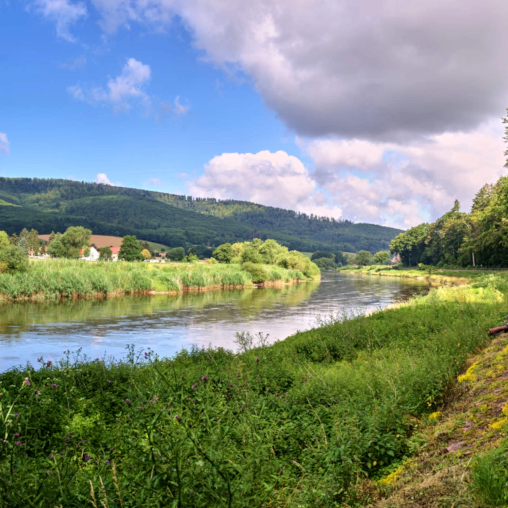 Eurovelo - mit dem Rad hintern Horizont Ein Fahrrad angelehnt an einem Radweg in der Natur