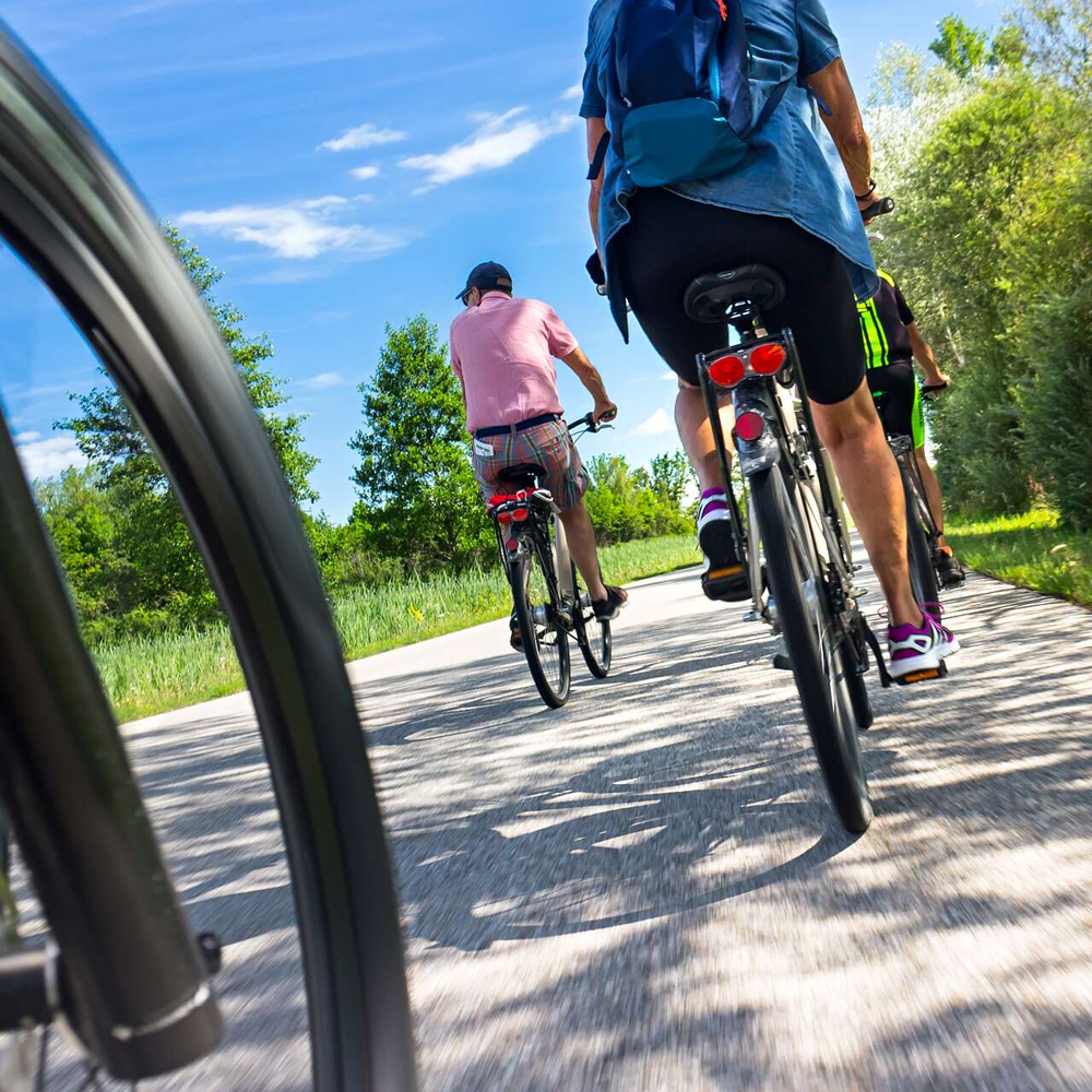 Fahrrad fahren ist gesund – bringen Sie sich sanft in Form. Fünf Personen machen eine Fahrradtour bei gutem Sommerwetter.