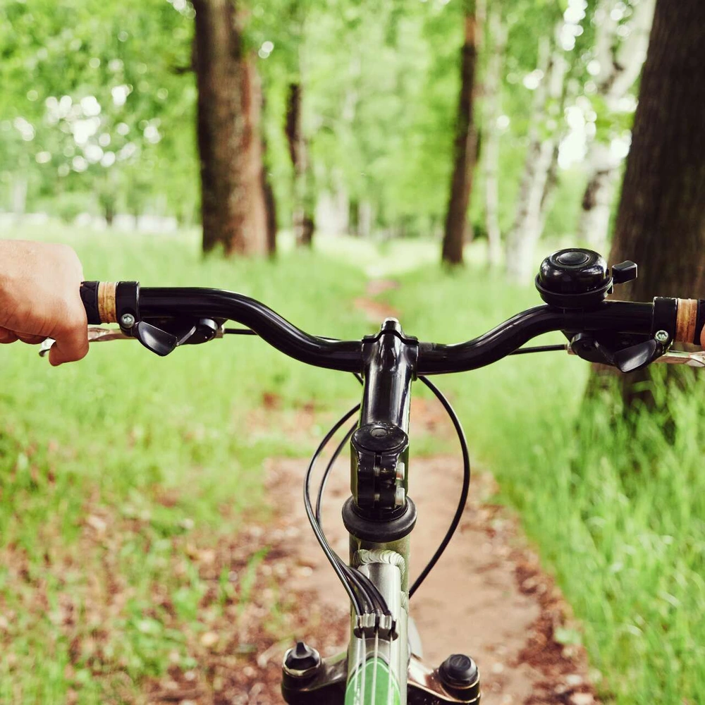 Der Fahrradlenker Ein Fahrradlenrad wird von einer Person im Wald benutzt.