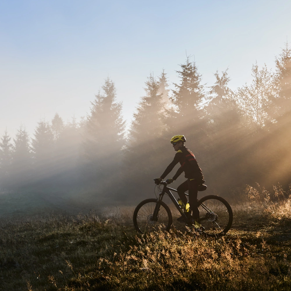 Radfahrer im Nebel, Sonnenstrahlen durch Bäume scheinen auf die Szenerie.