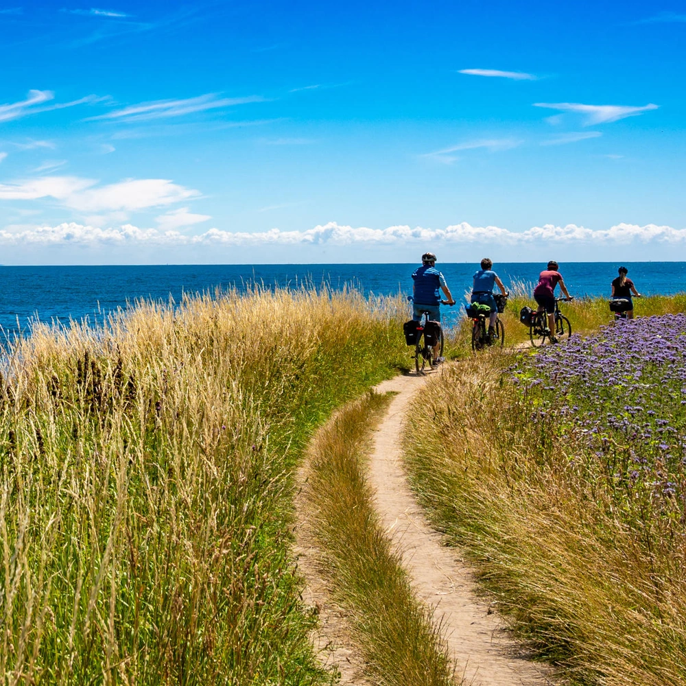 Menschen gehen auf einem Weg entlang einer Küste mit blühenden Wiesen.