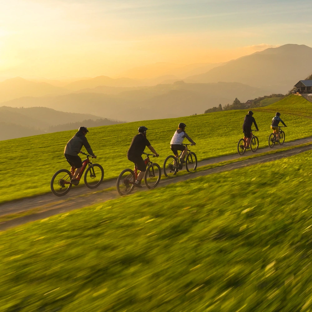 Fünf Radfahrer fahren auf einem Feldweg durch eine grüne Landschaft bei Sonnenuntergang.
