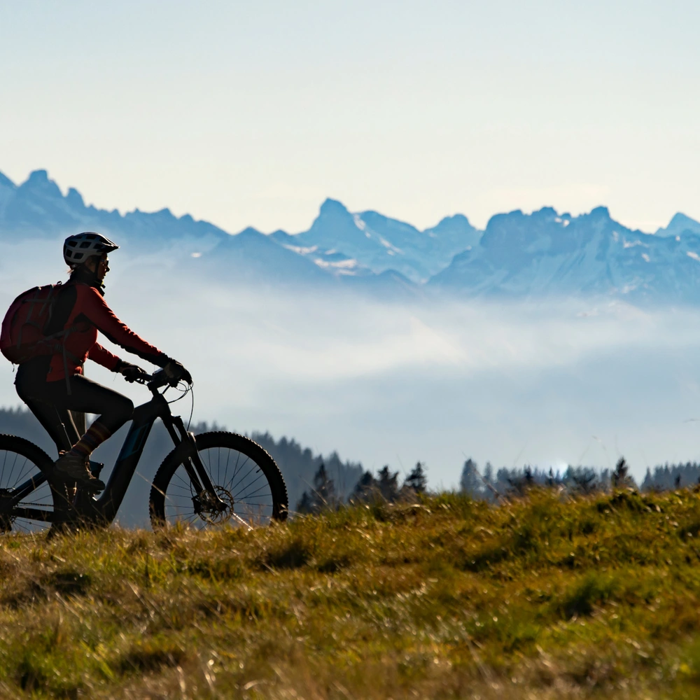 Grundig E-Bike Test von linexo.de Frau fährt auf einem E-Bike in den Bergen über eine Wiese