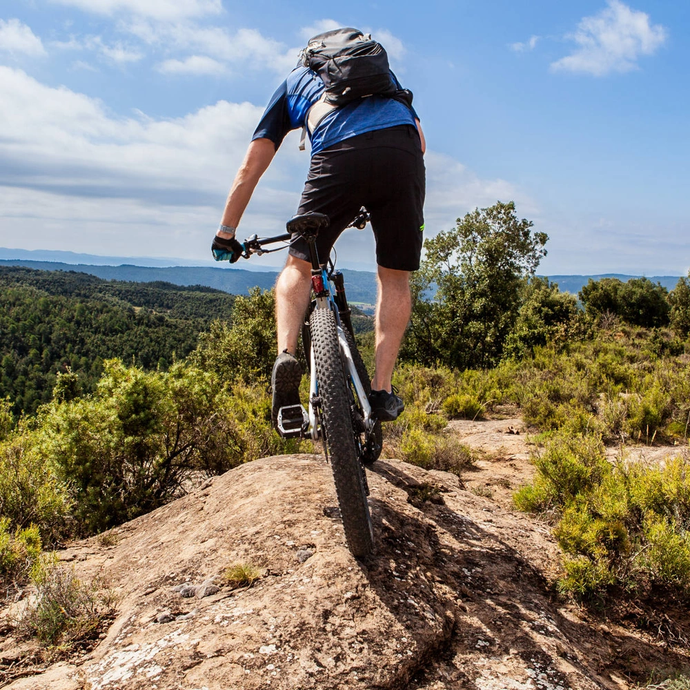 Entdecke die sportlichen Highlights von Haibike Mountainbiker fährt mit seinem Bike über einen Berggipfel