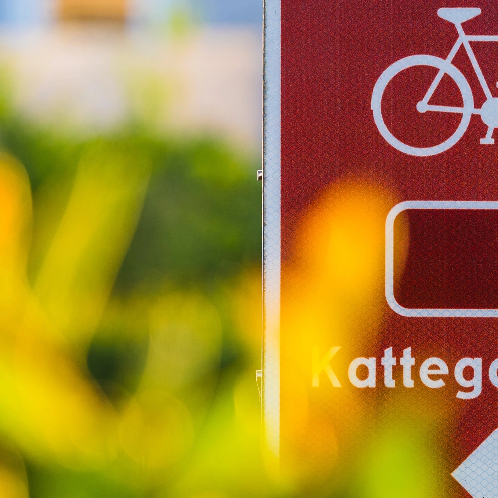 Radwegweiser mit der Nummer 1, umgeben von unscharfem grünen Hintergrund.