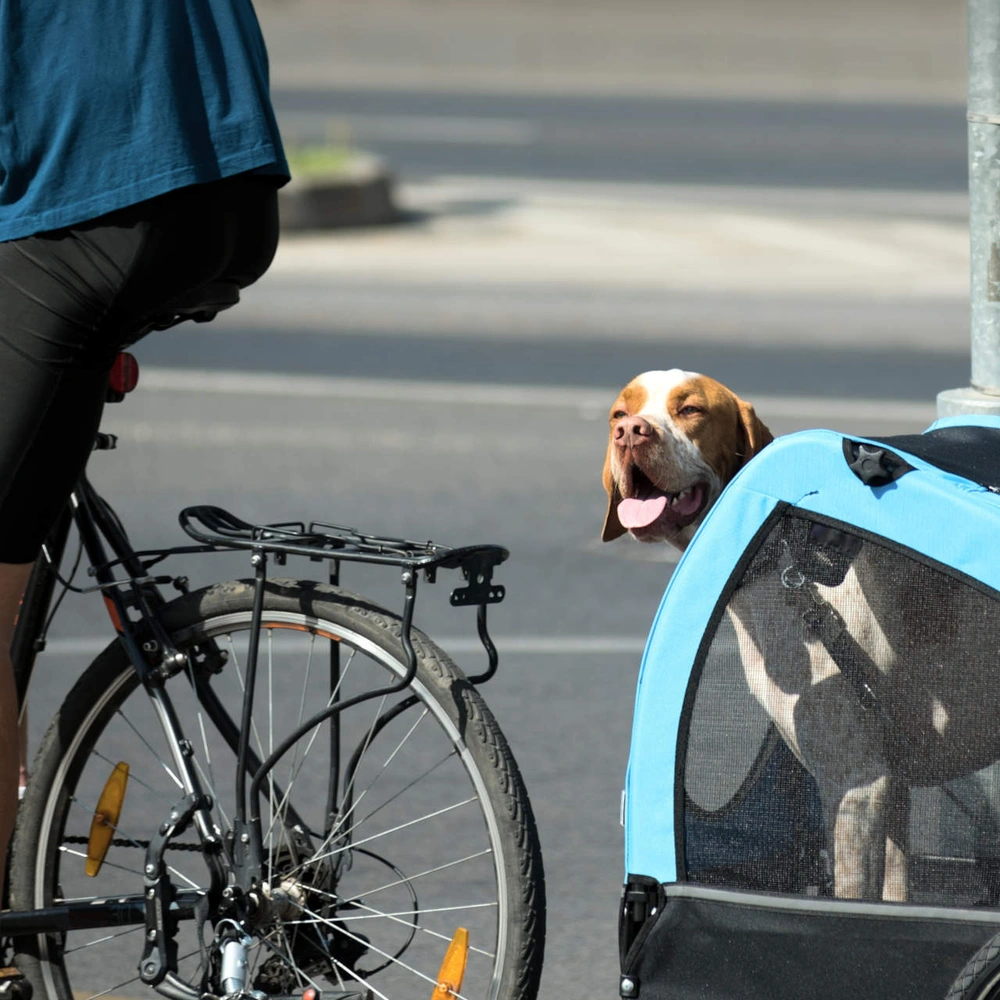 Lastenfahrrad Hund - mit dem Hund aufs Rad Ein Hund wird mit dem Fahrrad transportiert