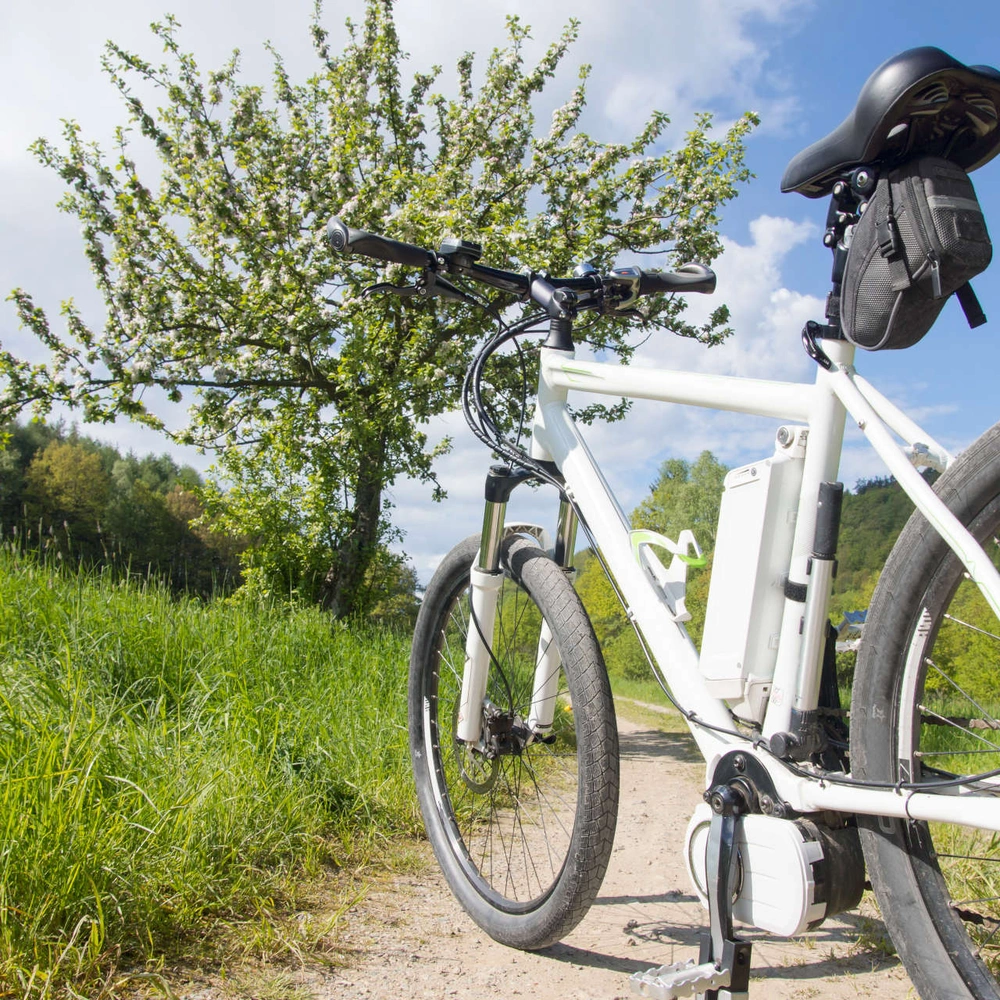 Leichte Pedelecs Leichte Pedelecs