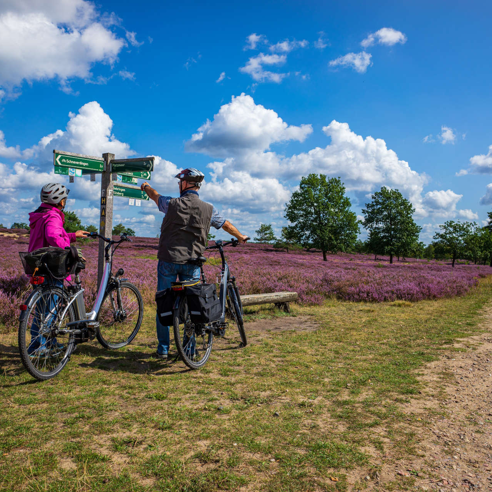 Mit dem Fahrrad in den Urlaub - das solltest du beachten. Mit dem Fahrrad in den Urlaub - das solltest du beachten.