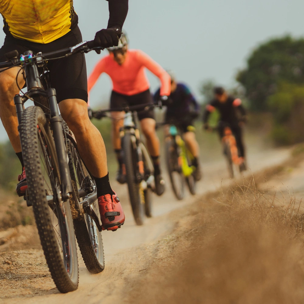 Vier Mountainbiker fahren auf einem staubigen Pfad durch eine grüne Landschaft.
