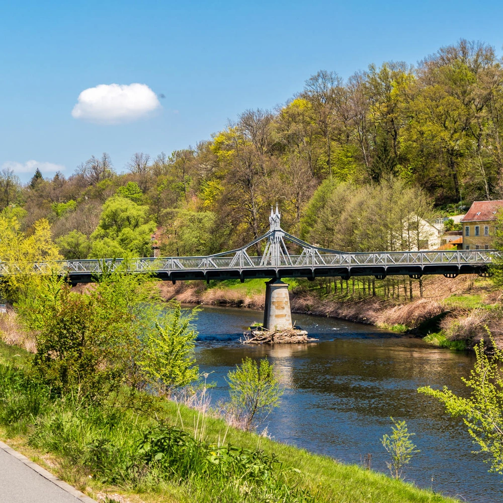 Ein Radfahrer fährt an einem Fluss entlang, mit einer Brücke und grünen Bäumen im Hintergrund.