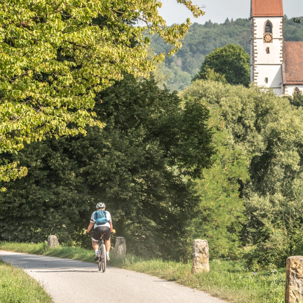 Radfahrer auf einem schmalen Weg, umgeben von Bäumen und einer Kirche im Hintergrund.