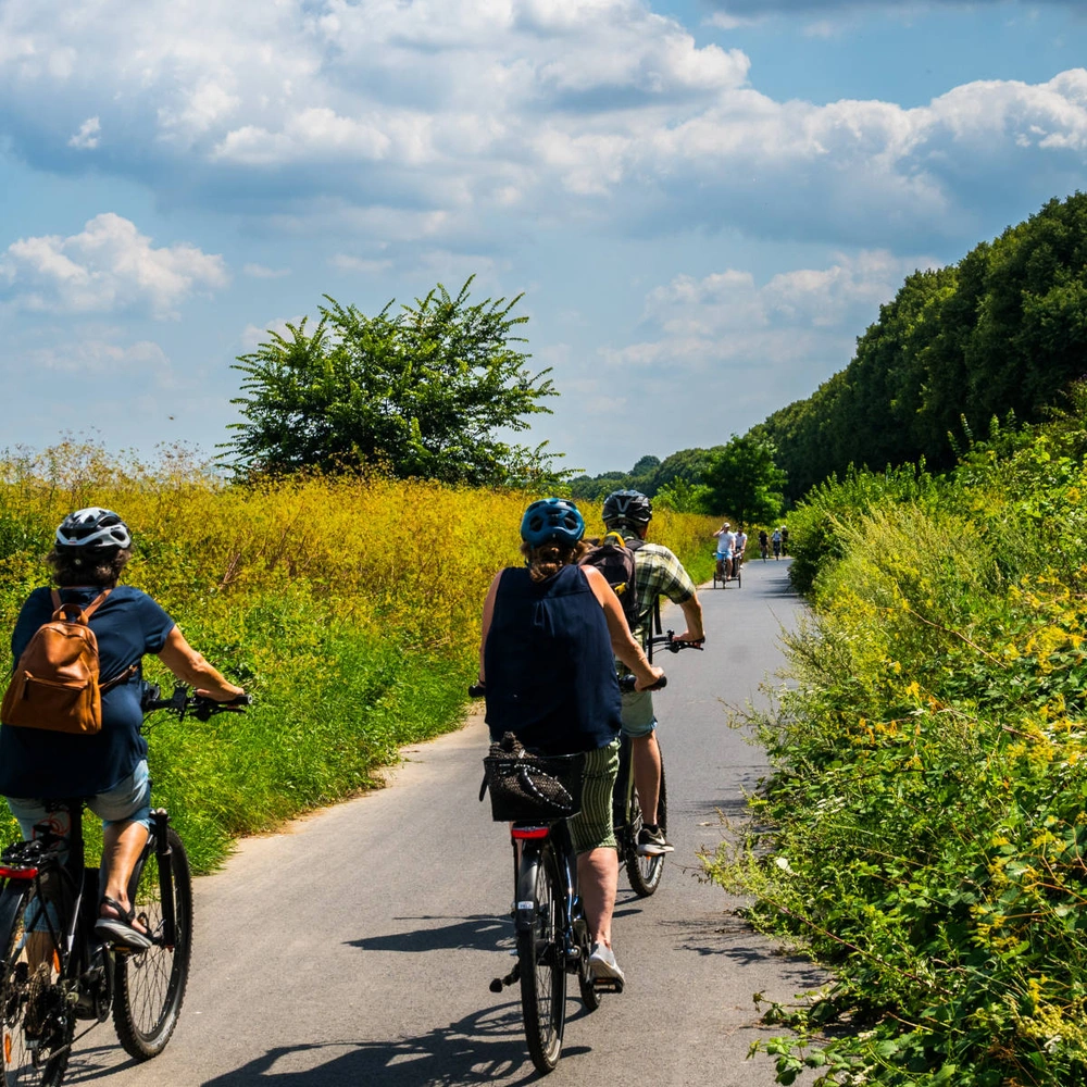 Die schönsten Radwege in NRW Fahrradfahrer auf einem sonnigen Weg, umgeben von bunten Blumen und grünem Gras.