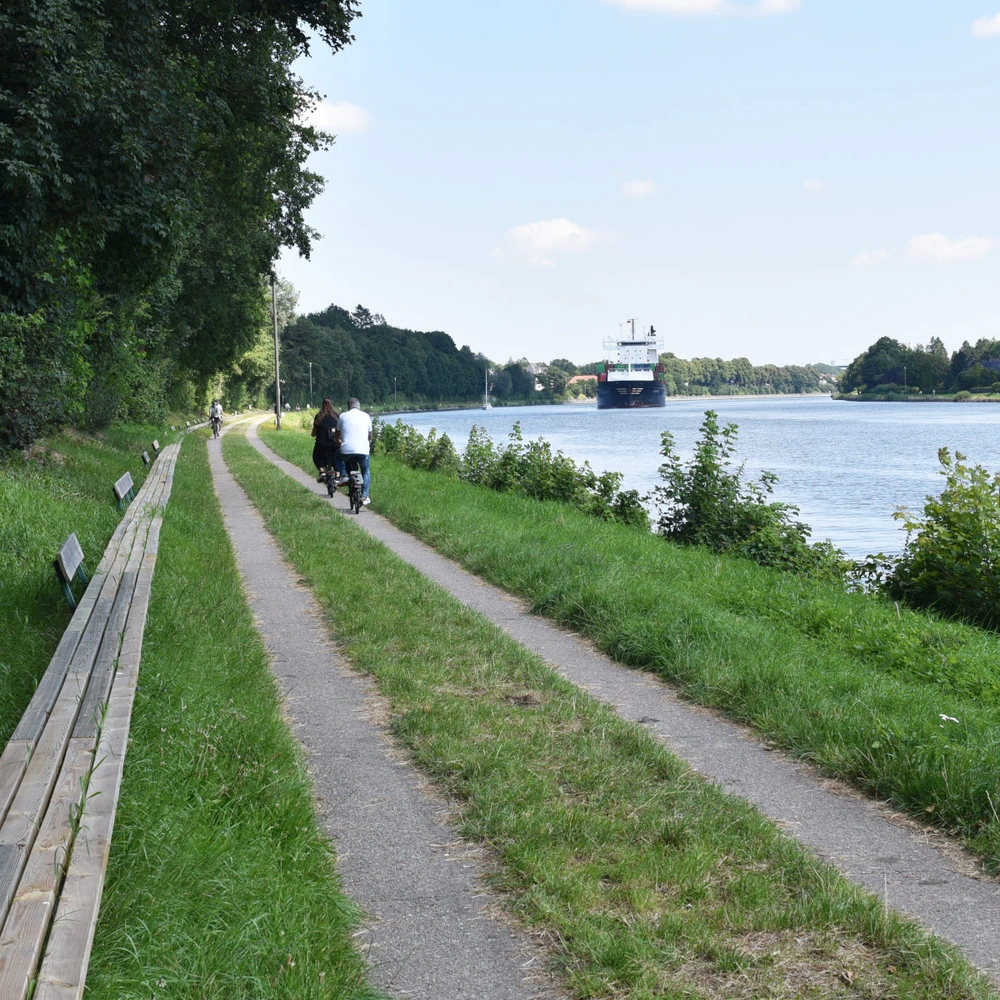 Von Dänemark bis Niedersachsen: Der Ochsenweg als Radfahrerlebnis Ein ruhiger Weg entlang eines Flusses, umgeben von Bäumen und Gras.