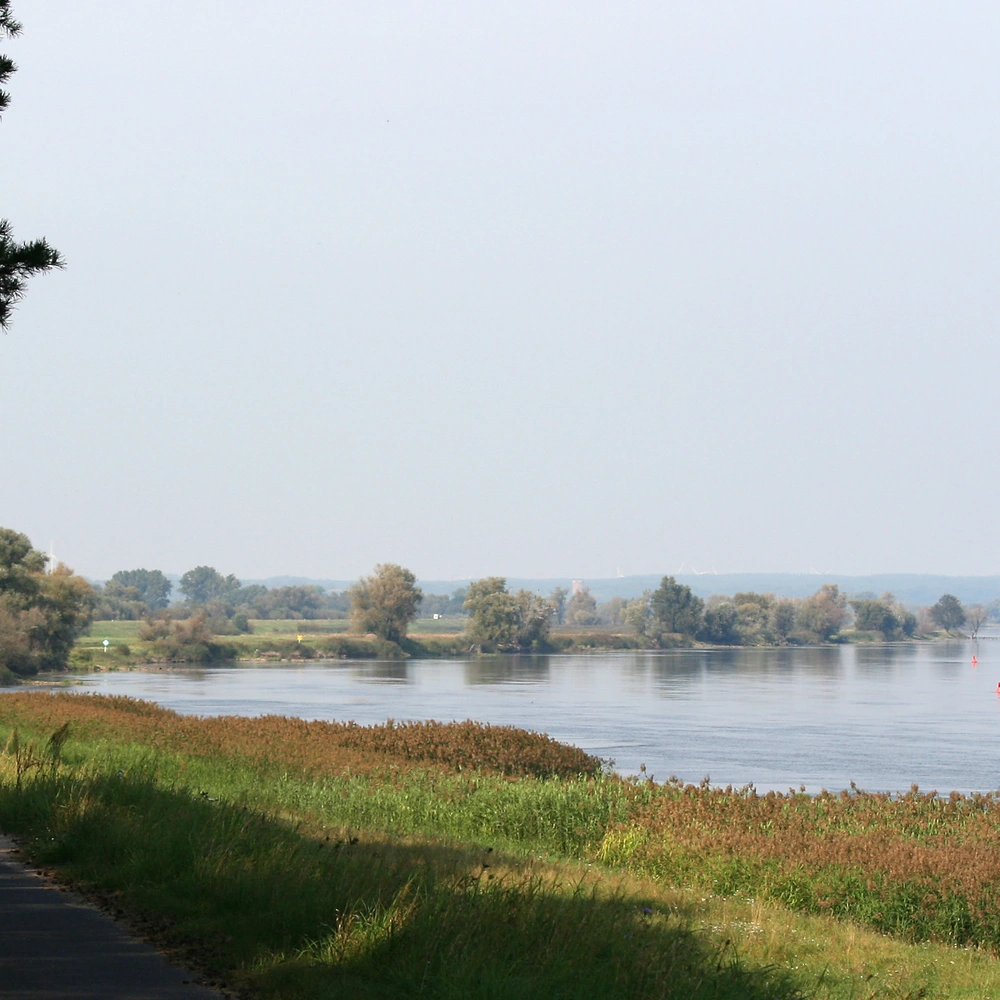 Radfahrer auf dem Oder-Neiße-Radweg entlang eines ruhigen Flusses mit grüner Ufervegetation.