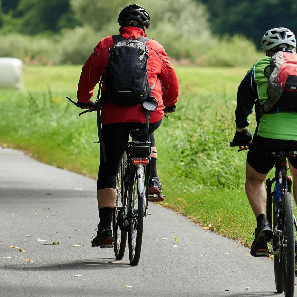 Pegasus Fahrrad kombiniert Innovation und Tradition Vier Fahrradfahrende von hinten, die einen Fahrradweg entlangfahren