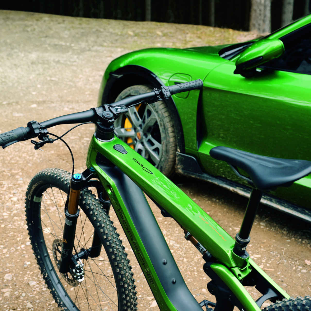 Posche E-Bike – Mambagrün Metallic Posche E-Bike – Mambagrün Metallic