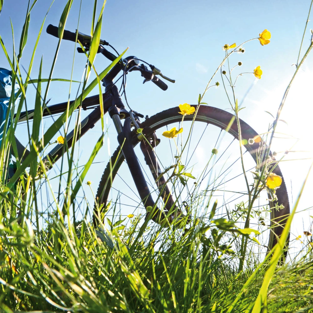 Die Radsaison beginnt - Tipps um dich vorzubereiten Ein Fahrrad im Rasen