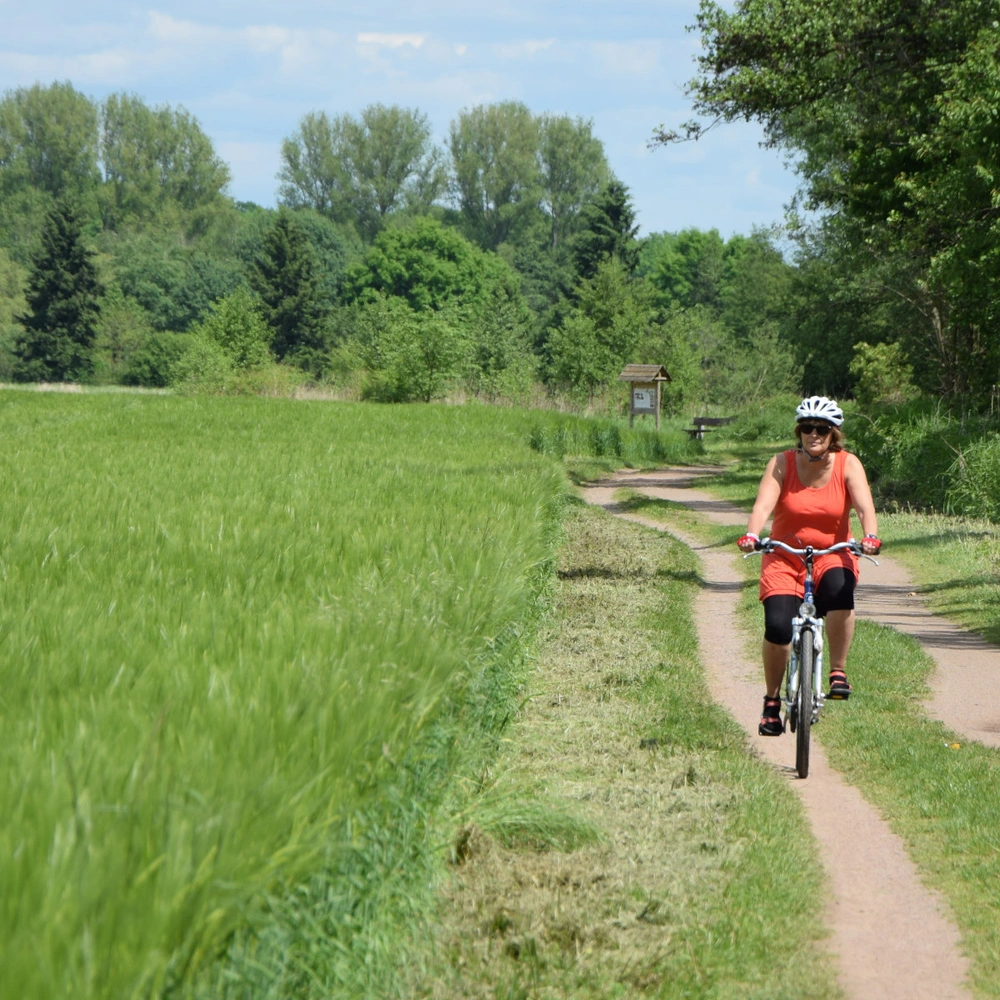 Frau in orangefarbener Kleidung radelt auf einem Weg entlang einer Wiese.