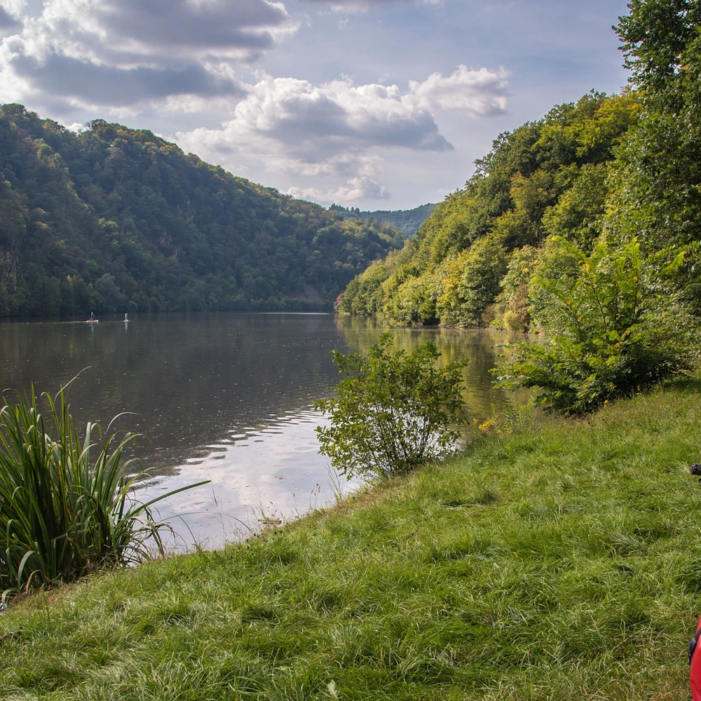Fahrradfahrerin schaut vom Flussufer auf die Saarschleife