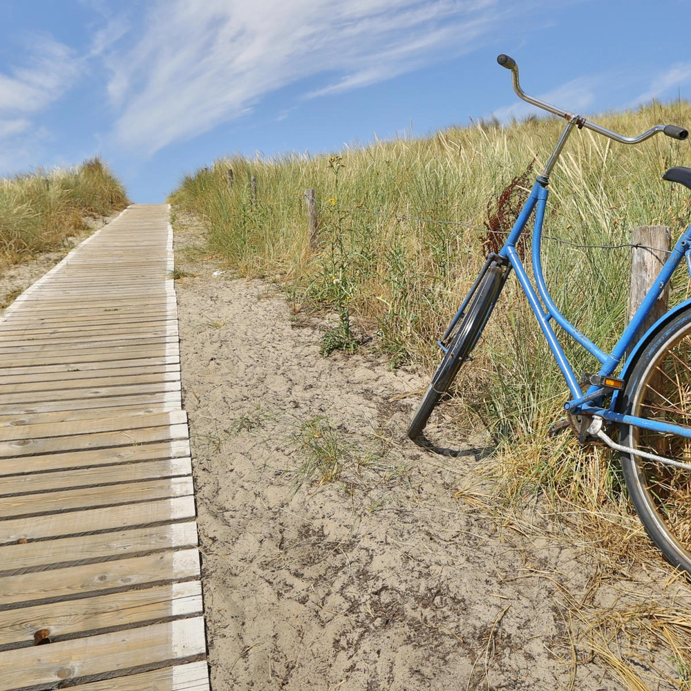 Blaues Fahrrad steht an einem Holzsteg, umgeben von Wiesen und Wolken am Himmel.