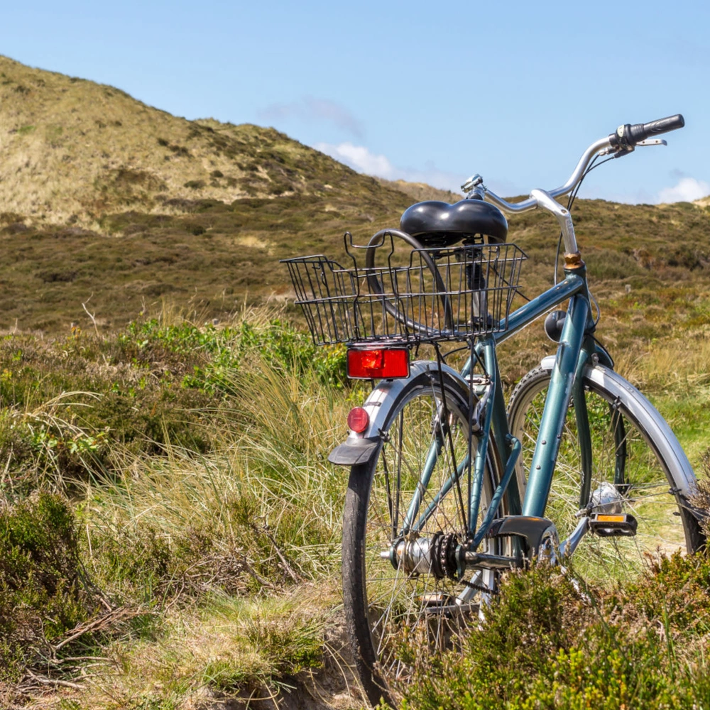 Ein blaues Fahrrad steht auf einer Wiese mit sanften Hügeln im Hintergrund.