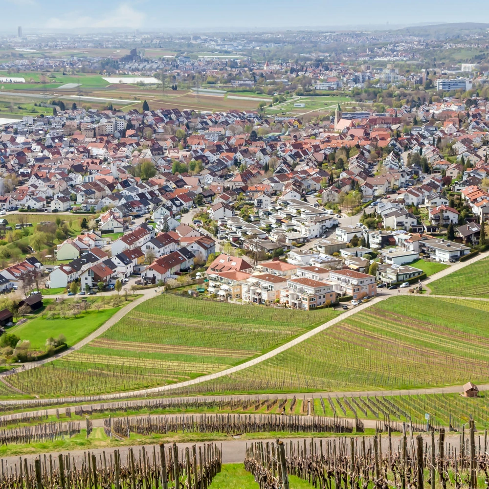 Blick auf eine Wohnsiedlung, umgeben von Weinbergen und grünen Hügeln.