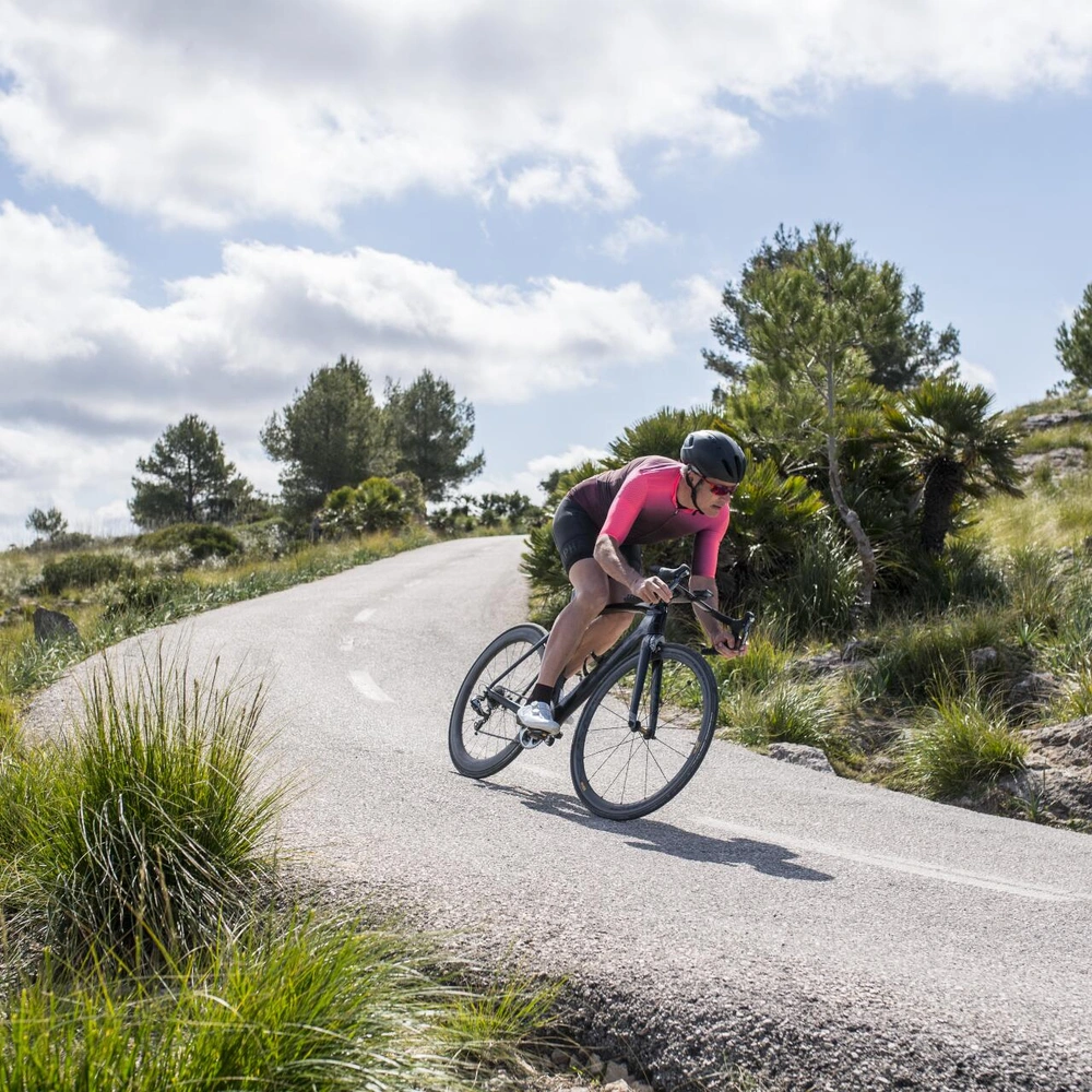 Rennradfahrer auf kurvenreicher Straße in bewaldeter Landschaft