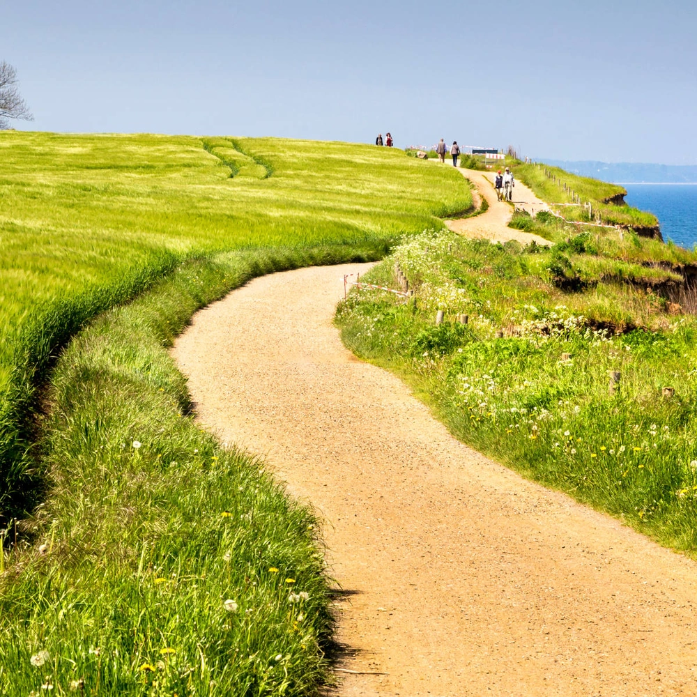 Wanderweg entlang einer grünen Wiese mit Blick auf das blaue Meer.