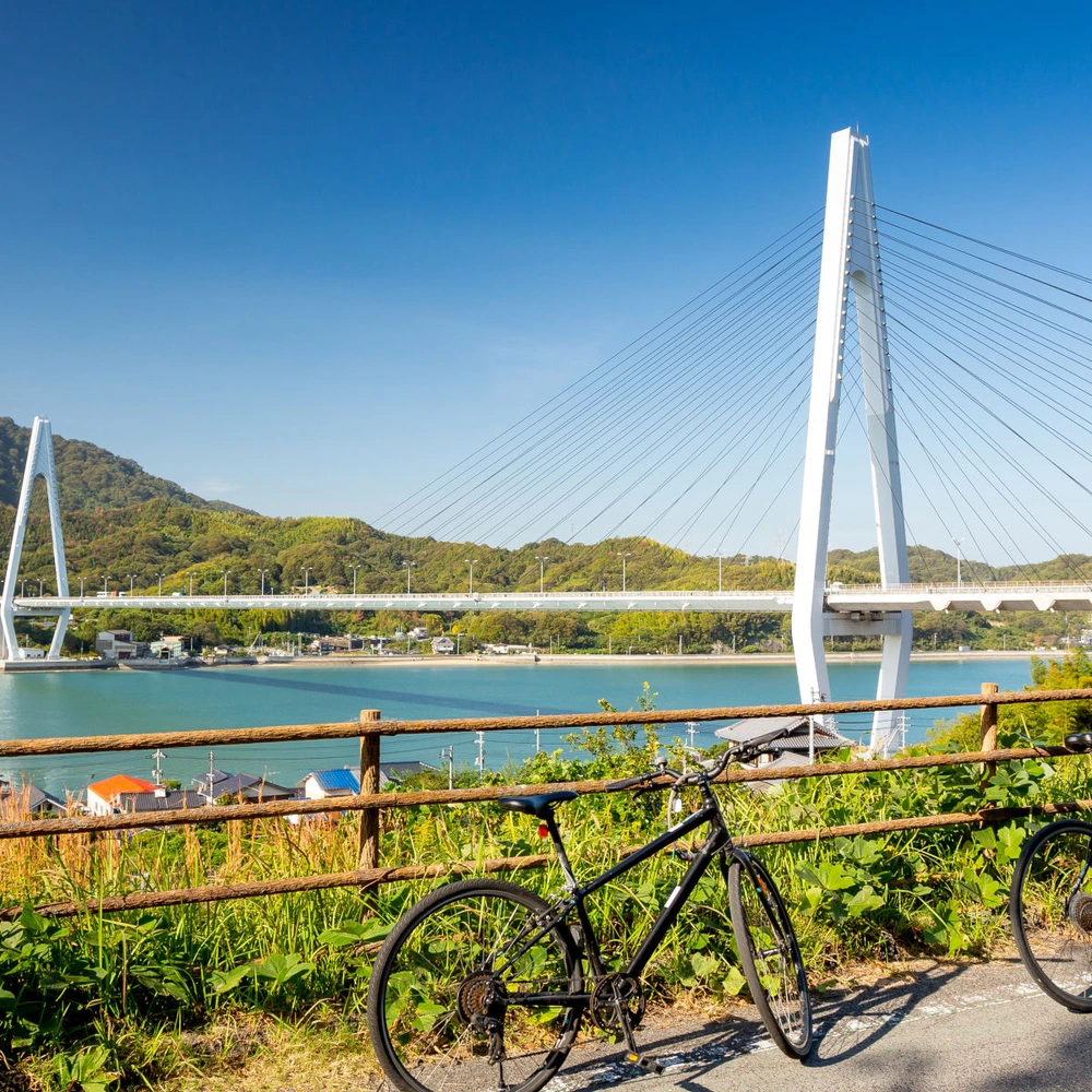 Zwei Fahrräder stehen auf einem Weg, mit einer Brücke und Wasser im Hintergrund.