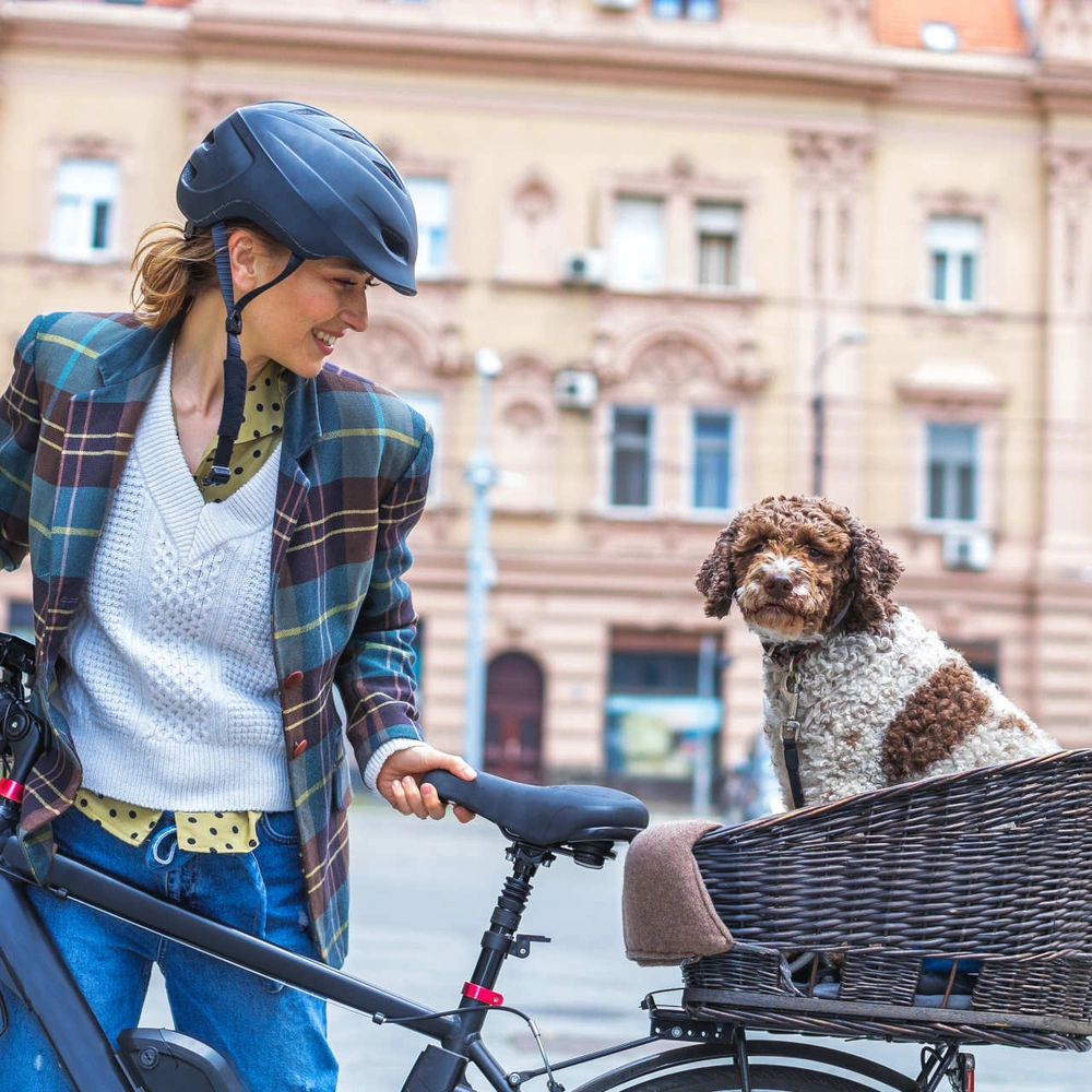Tiertransport mit dem Fahrrad Frau transportiert ihren Hund mit dem Fahrrad